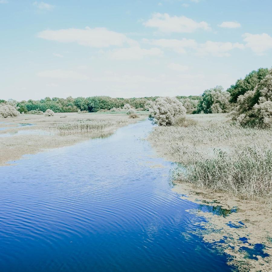 Penzion Le Val Suzenay Vendeuvre-sur-Barse Exteriér fotografie
